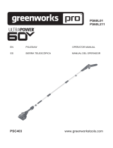Greenworks PS60L01 Manual de usuario