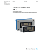 Endres+Hauser BA RIA15 Instrucciones de operación